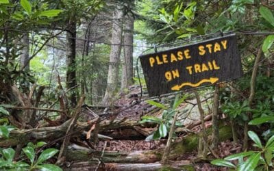 Please Stay On Trail