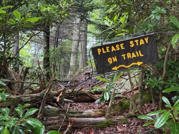 Please Stay On Trail