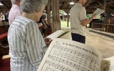 Papa’s Song
