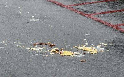 The Mess In The Road