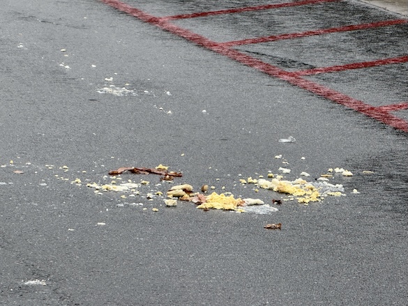 The Mess In The Road